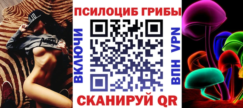 Псилоцибиновые грибы Psilocybe Пионерский